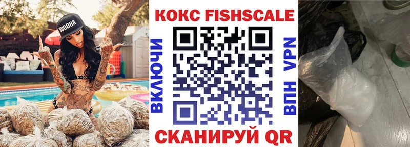 MEGA как зайти  как найти закладки  Новодвинск  COCAIN 97% 