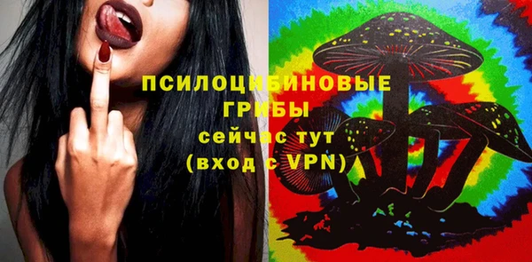 сатива Алзамай