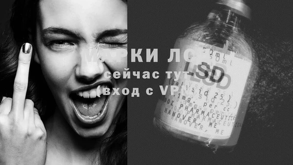 сатива Алзамай
